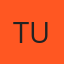 Tints Unlimited logo