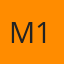 Mentor Name