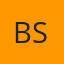 Best Systems logo