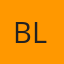 Blues Discount Glass LLC logo