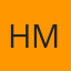Houston Car Side Mirror logo