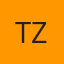 Tint Zone logo