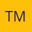 Tint Masters logo