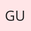 Guru99.com