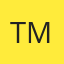 Tint Masters logo