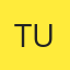 Tints Unlimited logo