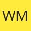 Windshields Mobile logo