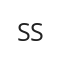 SSW-Stadtwerke St. Wendel GmbH &amp; Co. KG (SSW)