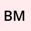 Bim market