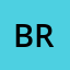 Bruce Reynolds logo