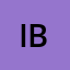 Irna Budianto