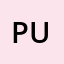 Pujantini