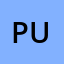 Punn**********m