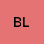 BL-T001S-OCEAN