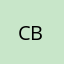 Canva Pro Admin Business 100 Slots 1 Tháng BHF
