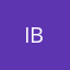 IB11-SCREENPRINT (MULTICOLOR)