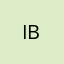 IB18-SCREENPRINT (MULTICOLOR)