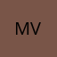 Meitu SVip — Meitu VIP 7D (W5D)