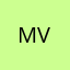 Meitu SVip — Meitu Vip+ 3M (W2M)