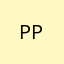 PP-1000-PS-AIR