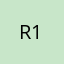 R120-6FLAG