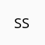 SS30HAA0810