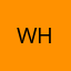 Wink Vip 30D bao hanh full