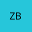 Zoom Pro Trial 28D BHF