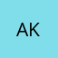 Aysun K.
