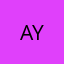 arzu y.