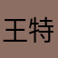 % 王特特