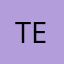 ()()TERNS