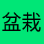 (盆栽)
