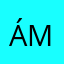 Ámbarina