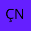 ÇİÇEKÇİ NESRİN