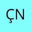 Ç N**