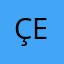 ÇET16
