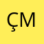 Çakmak M.