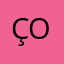 Çorum Dodurga Organizasyon Logo
