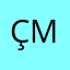 Çukurova Mühendislik