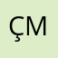 Çukurova motor