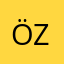 Özz1911