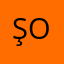 Şırnak Cizre Organizasyon Logo
