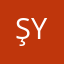 Ş y