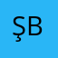 ŞAHİN BAKIŞ