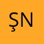 ŞN