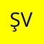 Şadi Vicir
