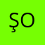 Şanlıurfa Eyyübiye Organizasyon Logo