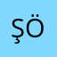 Şevin Özcan