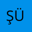 Şeyda Ü.